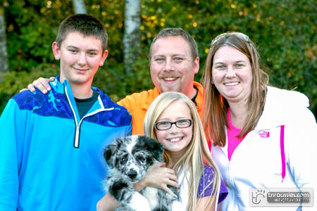 Cooper - Blue Merle Boy - Is with Peterson family in MN