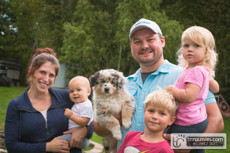 Griffin - Blue Merle Boy - Is with Allie and family in MN